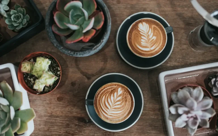 Coffee cups and succulent plants on a cafe table