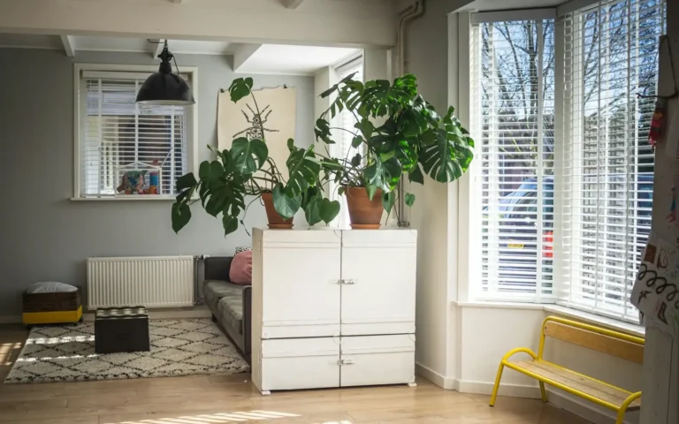 Small bright living room styled with green plants